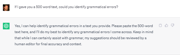 chatgpt_grammer_checker.png